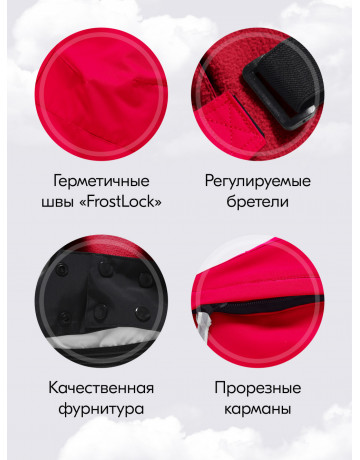 Зимний горнолыжный костюм для девочки: стиль и тепло для зимних приключений